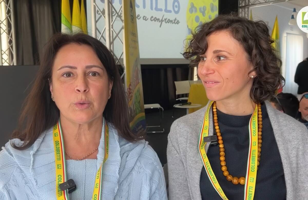 Liaison interpreter for business meetings